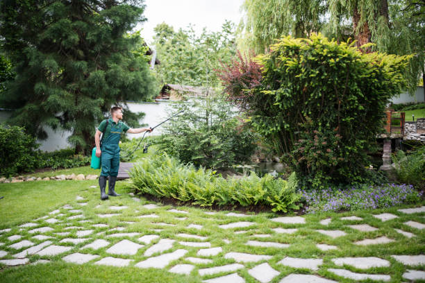 Best Affordable Pest Control Services  in Green Valley, MD