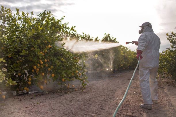 Best Commercial Pest Control Services  in Green Valley, MD