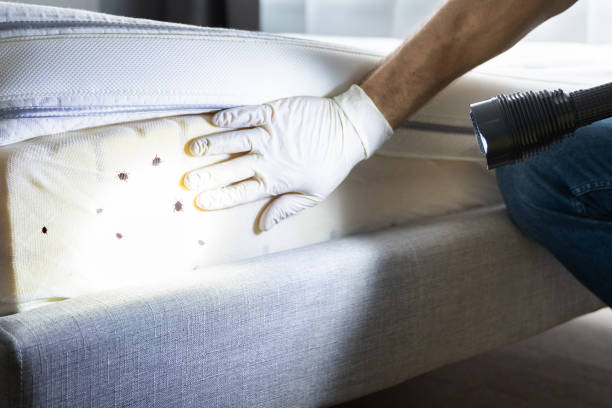 Best Best Pest Control Companies  in Green Valley, MD